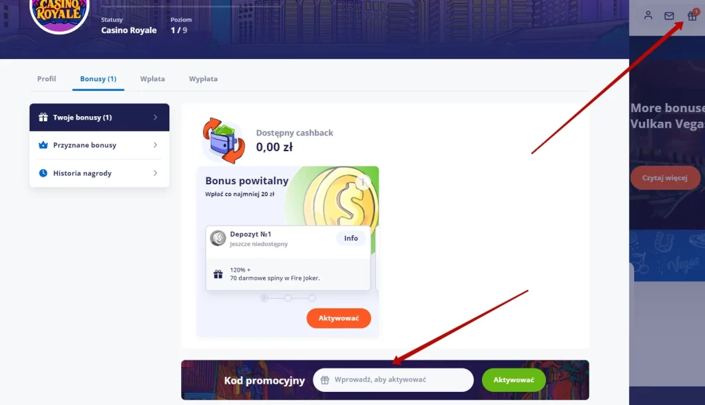 Vulkan Vegas Casino - wprowadzanie kodu promocyjnego na koncie